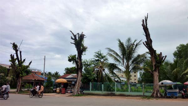 Along Koh Koh Kong's main street