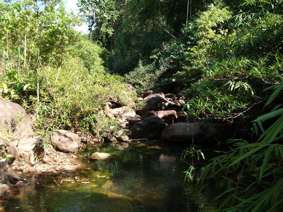 Cardamom Mountain Resort in Koh Kong Province, Cambodia.